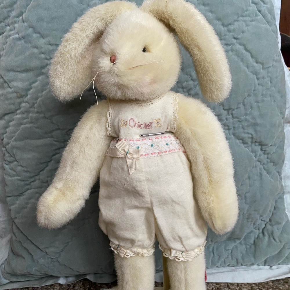 Bunnies by the Bay-Cricket with outfits